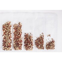 Стразы для дизайна ногтей в наборе Richcolor Amber ss3-ss12